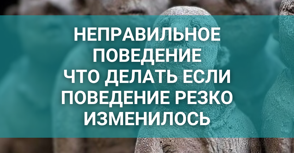 nepravilnoe-povedenie.png nepravilnoe-povedenie.png