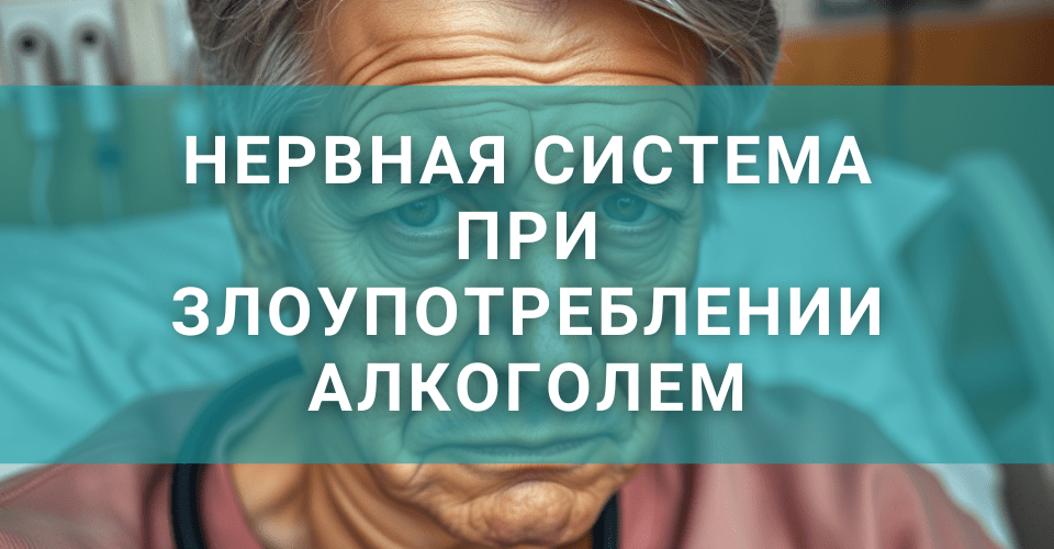 Как чувствует себя нервная система, как влияет алкоголь на нервную систему Как чувствует себя нервная система, как влияет алкоголь на нервную систему