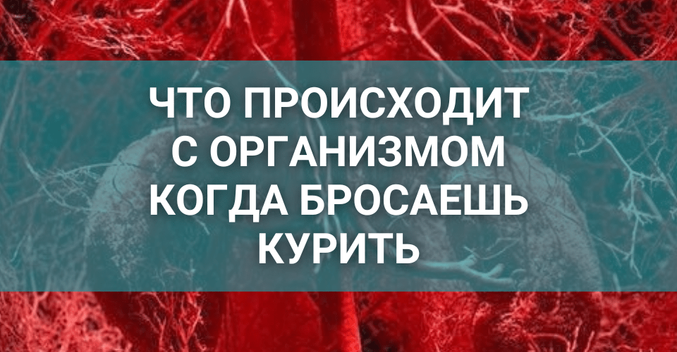 что происходит с организмом когда бросаешь курить.png что происходит с организмом когда бросаешь курить.png
