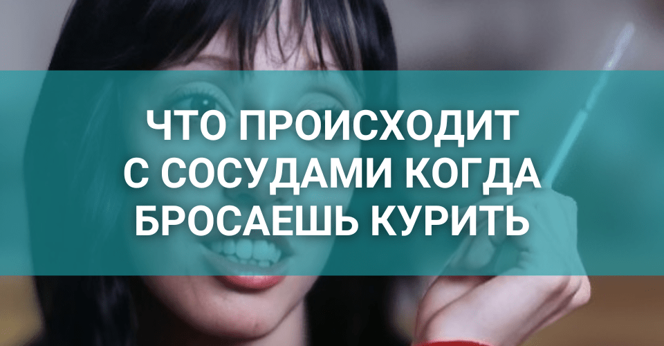 что происходит с сосудами когда бросаешь курить.png что происходит с сосудами когда бросаешь курить.png