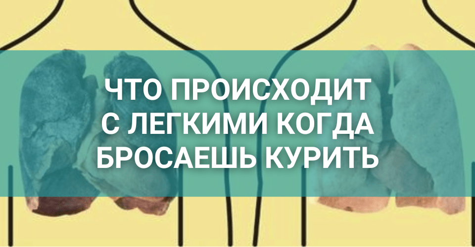 что происходит с легкими когда бросаешь курить.png что происходит с легкими когда бросаешь курить.png