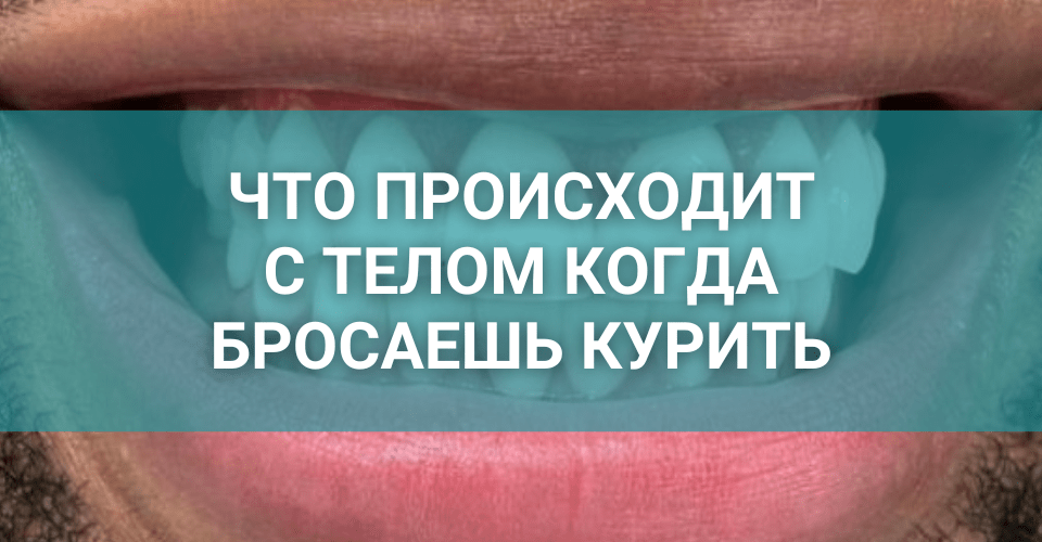 что происходит с телом когда бросаешь курить.png что происходит с телом когда бросаешь курить.png