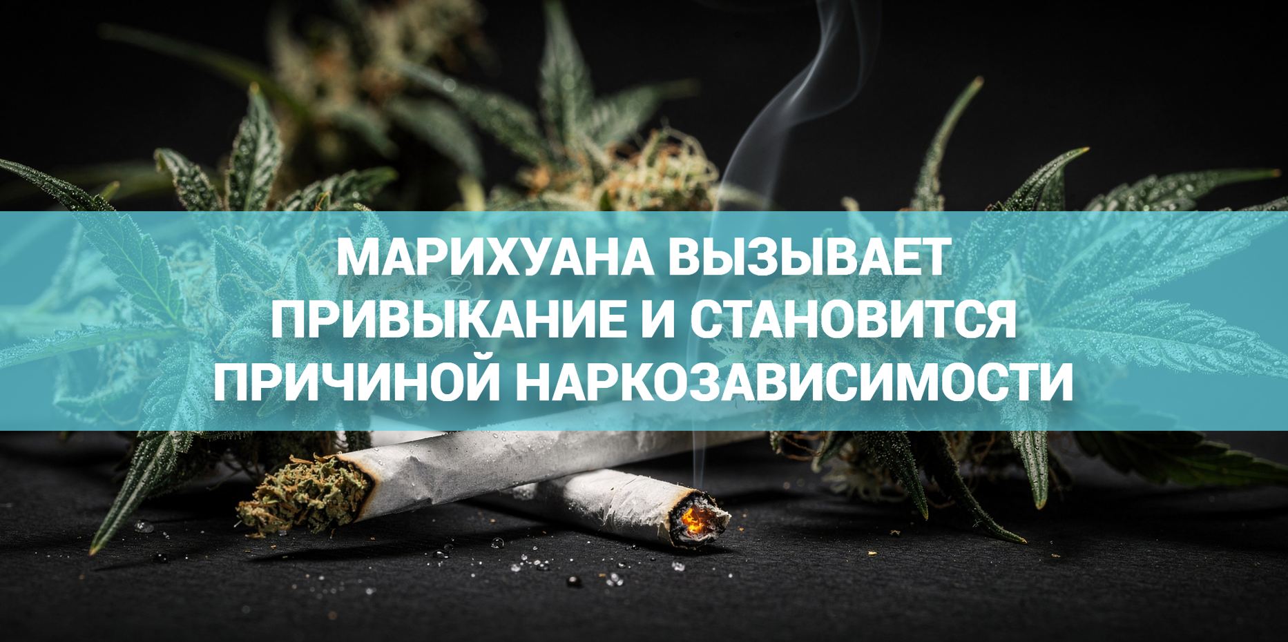 К чему приводит употребление марихуаны