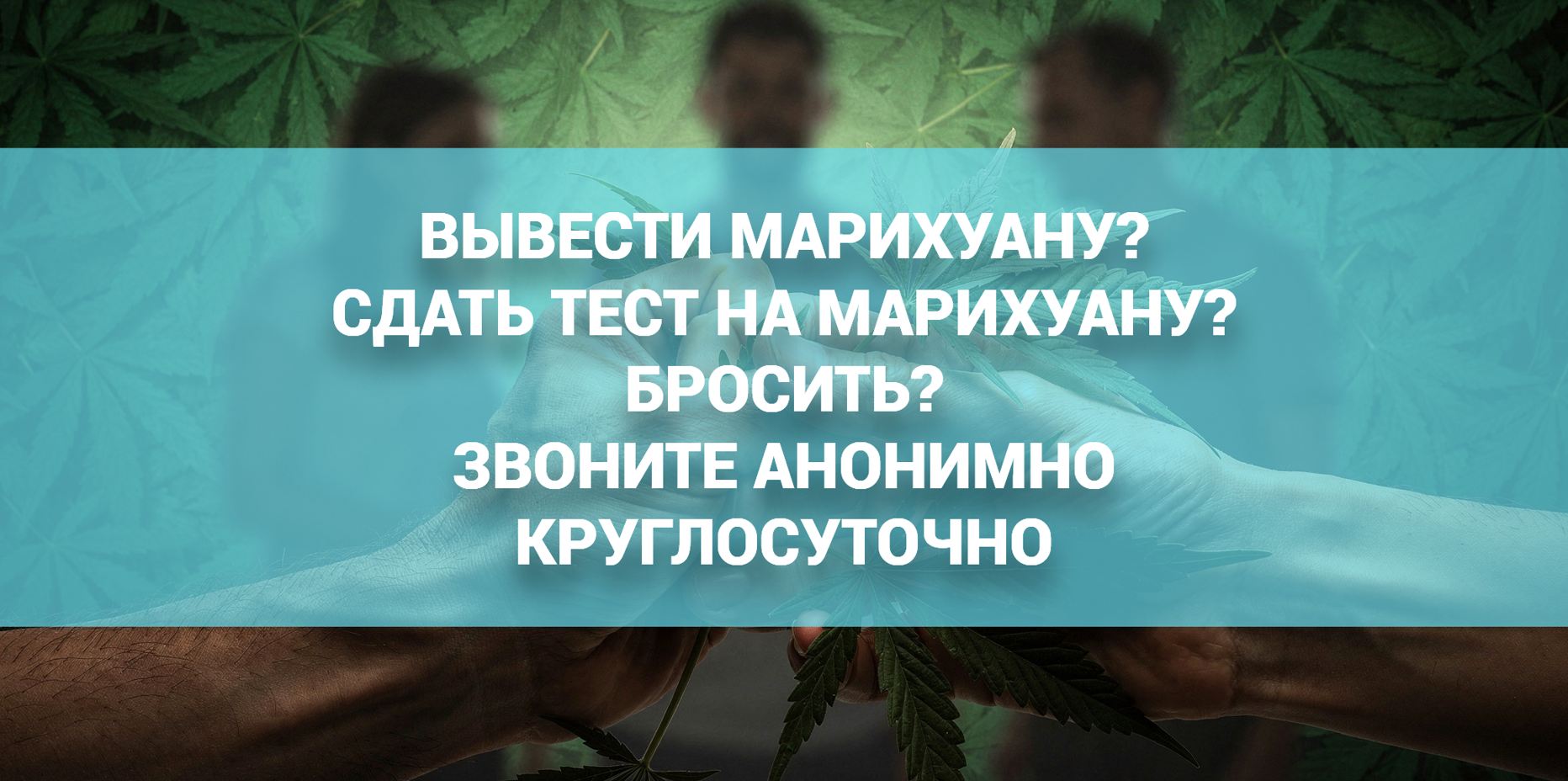 вывести марихуану или пройти тест на наличие марихуаны в организме человека